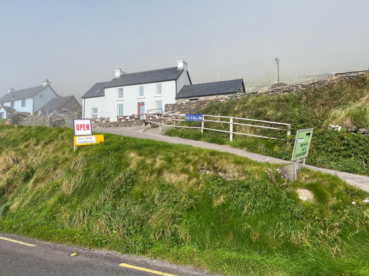 Villa Old Irish Farmhouse Dingle Exterior foto